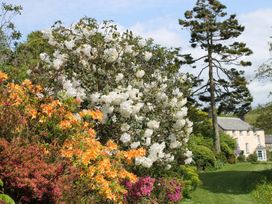 Harry - Cornwall - 976286 - thumbnail photo 13