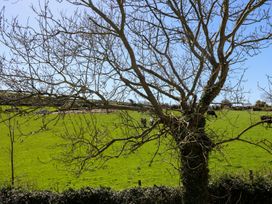 Atlantic View - Cornwall - 976352 - thumbnail photo 21