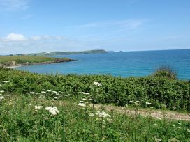 A coastal landscape with a grassy hillside and wildflowers overlooking the sea at Stones Throw in St Mawes