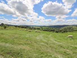 Woodland View - Mid Wales - 976618 - thumbnail photo 13