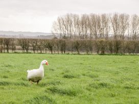 The Old Goat Barn at Trout Cottage - Somerset & Wiltshire - 977228 - thumbnail photo 27