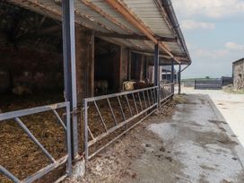 A barn with cattle and a pathway at Coetsiws in Clynnog Fawr