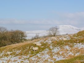 Croft Cottage - Yorkshire Dales - 979186 - thumbnail photo 15