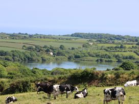 Cabin - Cornwall - 980134 - thumbnail photo 23