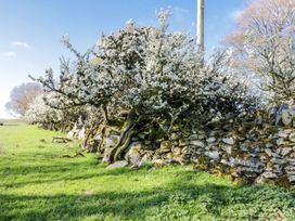 5 Ceirnioge Cottages - North Wales - 980229 - thumbnail photo 13