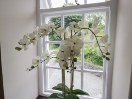 An orchid plant by a window at Rose Cottage in Broughton-In-Furness