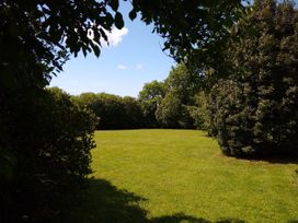 A garden with grass and trees at Dilly Dally Barn in Bradworthy near Bude