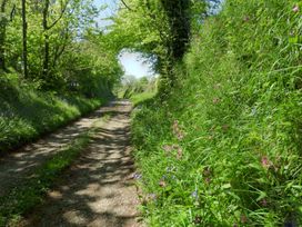 A dirt path surrounded by grass and wildflowers at Dilly Dally Barn in Chilsworthy, Holsworthy