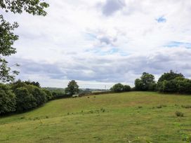 A field with cows and trees at Cawsand in Tideford