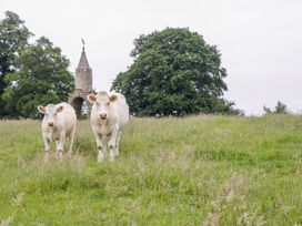The Milking Barn - Somerset & Wiltshire - 982461 - thumbnail photo 22