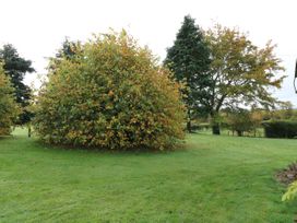 Todlaw Farm House - Scottish Lowlands - 982624 - thumbnail photo 31