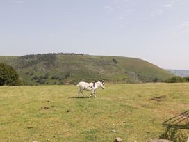 A donkey walking on a grassy field near a hill at Penrhiwarwydd Barn Pontywaun