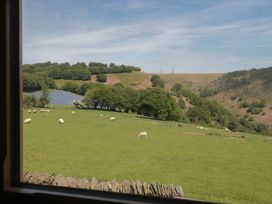 A field with sheep and solar panels at Penrhiwarwydd Barn Pontywaun