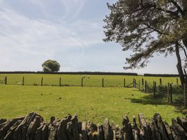 An open field with a fence and tree at Penrhiwarwydd Barn in Pontywaun
