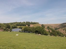 A field with solar panels and sheep at Penrhiwarwydd Barn in Pontywaun