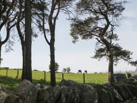 A view of horses in a field with trees and a stone wall at Penrhiwarwydd Barn Pontywaun