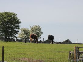 Horses grazing in a field with trees at Penrhiwarwydd Barn in Pontywaun