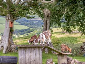 Caner Bach Lodge - South Wales - 983095 - thumbnail photo 23