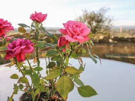 2 Storrs Cottages - Yorkshire Dales - 983305 - thumbnail photo 23