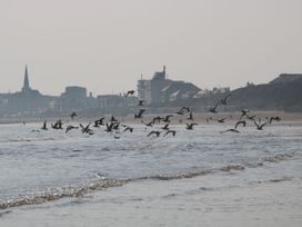 A view of birds flying over water with buildings in the background at Apt 5 @ Hunter's Quay Bridlington