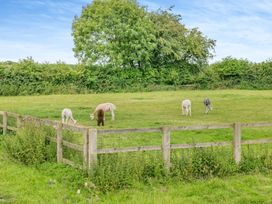 Stubbs Grange Barn - Peak District & Derbyshire - 984197 - thumbnail photo 49