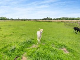 Stubbs Grange Barn - Peak District & Derbyshire - 984197 - thumbnail photo 50