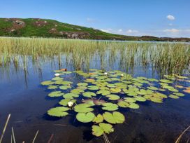 Yew Fold - Lake District - 984344 - thumbnail photo 18