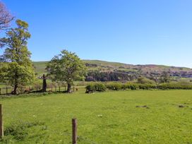 A view of trees and hills in a field at Cefn Nannau near Ty-nant Cerrigydrudion