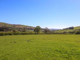 A field with trees and hills at Cefn Nannau near Ty-nant Cerrigydrudion