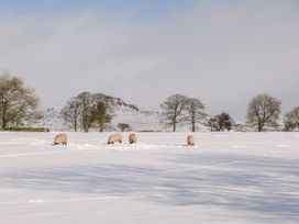 The Woodlands - Yorkshire Dales - 985668 - thumbnail photo 10