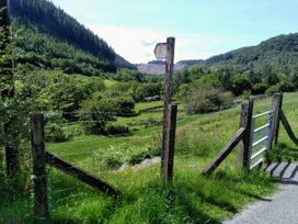 Tanrallt - Mid Wales - 985721 - thumbnail photo 21