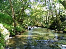 Tanrallt - Mid Wales - 985721 - thumbnail photo 22