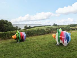 Colorful piggy banks in a field at Silvermine House Charlestown