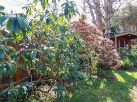 A garden with trees and a shed at Little Pippin in Carlyon Bay near St Austell