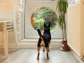 A dog looking out a round window at The Coach House in Llangollen