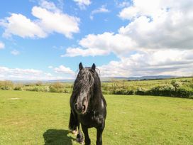 Apple Tree Cottage - Lake District - 986482 - thumbnail photo 33