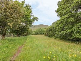 Dingle Den - Herefordshire - 986635 - thumbnail photo 11