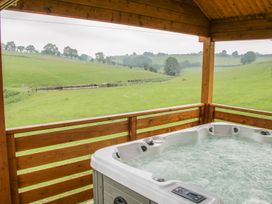 Manor Farm Lodges - Dragon Lodge - Mid Wales - 986721 - thumbnail photo 21