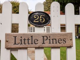 Little Pines - North Yorkshire (incl. Whitby) - 986897 - thumbnail photo 3