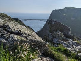 A view of a bridge over water with rocks and flowers at Smugglers Cottage near Trebarwith Strand
