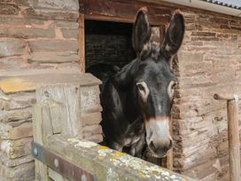 The Cow Cott - Herefordshire - 987898 - thumbnail photo 10