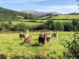 Fell Foot - Lake District - 988175 - thumbnail photo 36