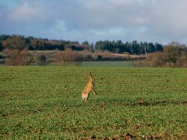 The Haughmond - Shropshire - 988184 - thumbnail photo 21