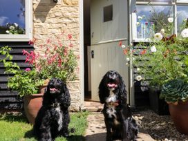 Henmarsh Cottage - Cotswolds - 988992 - thumbnail photo 3