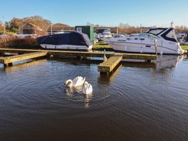 Swans swimming near a dock with boats at Daisy Lodge in Norwich