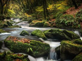 A stream running through rocks and trees at 2 Streamside Lanreath