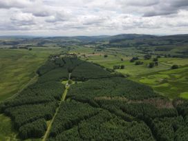 Glen View - Scottish Lowlands - 991535 - thumbnail photo 29