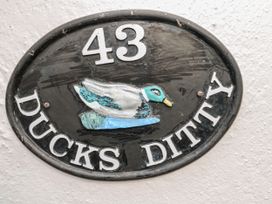 Ducks Ditty - Cornwall - 991811 - thumbnail photo 18