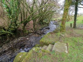 The Hen Pen - South Wales - 992923 - thumbnail photo 27