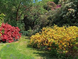 A garden with red and yellow flower bushes at The Patio Flat in Bodmin Moor